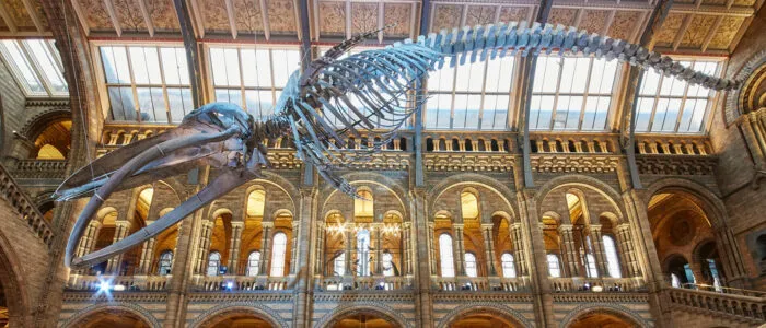 Natural History Museum