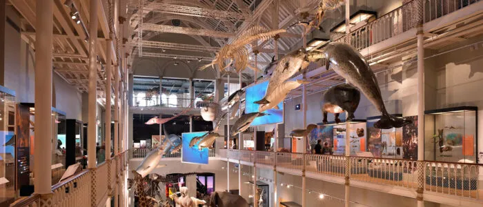 National Museum of Scotland